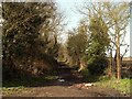 Footpath leading to Rye