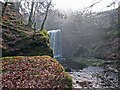NS4604 : Dalcairny waterfall, Dalmellington by david johnston