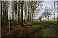 Track and bridleway to Westhorpe Lodge Farm