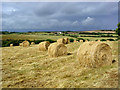 Summer Storm over Rooke Farm