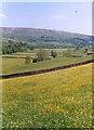 Hay meadow at Harkerside