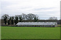 Disused Greenhouses, Bromley Green