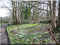 Footpath near Rookery Farm