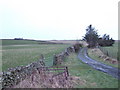 Track to Pen-y-garnedd