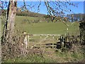 Field Gate below Moel yr Accre