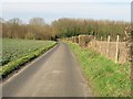 Looking NW along Pilots Farm Road