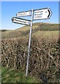 Road Sign below Moel yr Accre