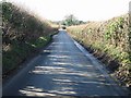 Looking SW towards Lymbridge Green