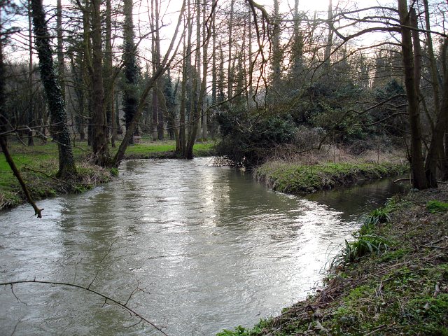 Great Stour at Chilham Mill