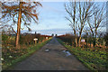 Farm road to Welby Warren