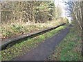 Disused station at Byers Green