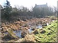 Pathside pond at Binchester