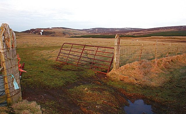 Field Gate