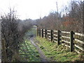 Clyde Walkway beside Raith Haugh Nature Reserve