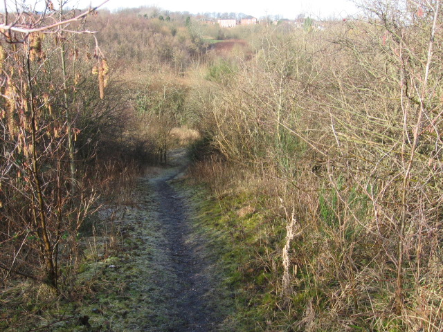 Clyde Walkway near Craighead