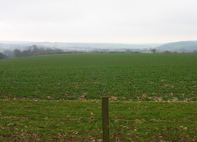 Field to the West of Monkton