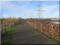 Clyde Walkway and cycleway No75 near Carmyle