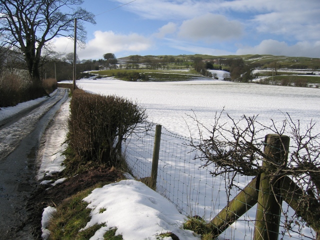 Lane and Field near Llanarmon yn Iâl
