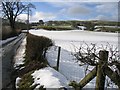 Lane and Field near Llanarmon yn I