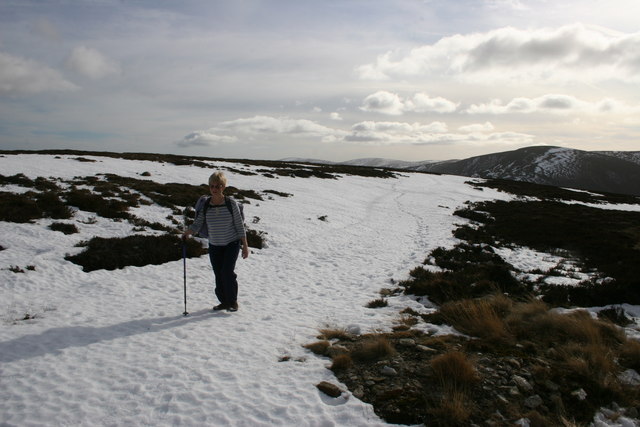 Path to Mount Keen