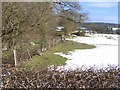 Sheepfield near Llanarmon yn Ial