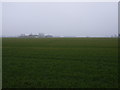 Farmland South of Old Goole