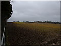 View across muddy field towards 