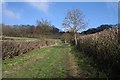 Footpath up from Bradlow