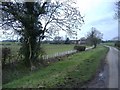 New hedge on Crudwell Lane