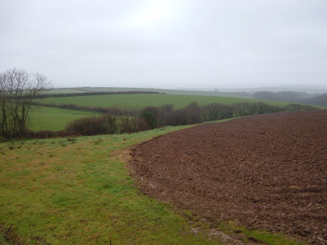View over gulley which takes spring water to the sea