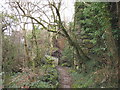 Footbridge  over Afon Caledffrwd below Melin Sam