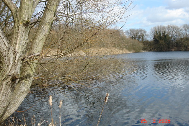 Looking at Turnford Pits