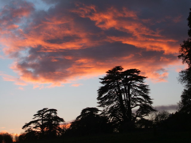 Sunset, grounds of Hertfordshire University at Bayfordbury
