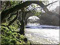 Afon Teifi