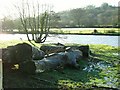 Bangor Teifi flood plain