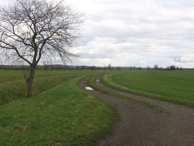 Farm track near Whaddon