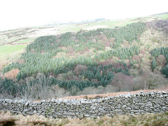 The incised valley of Afon Hen and the Cwm-gwared Plantation