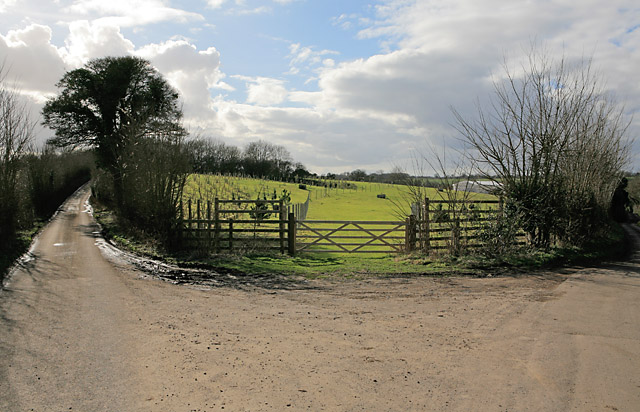 Y-junction of minor roads, and fields of Testbourne Estate