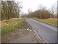 Access road near Harry Ottley Plantation, Goldthorpe