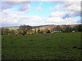 Wealden Landscape from Westbrook Lane