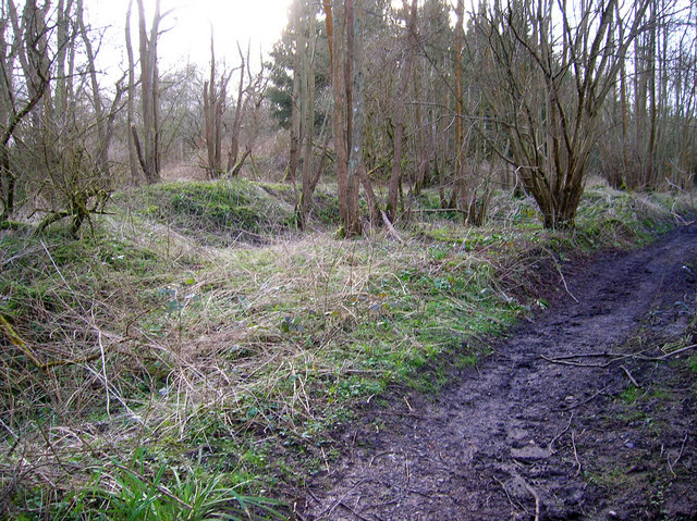 Roman Slag Heap, Beauport Park