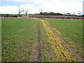 Footpath near Amerston Hill