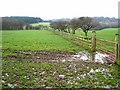 Fields near Red Gap