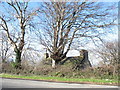 Mur Mawr - a traditional cottage on the outskirts of Gyrn Goch