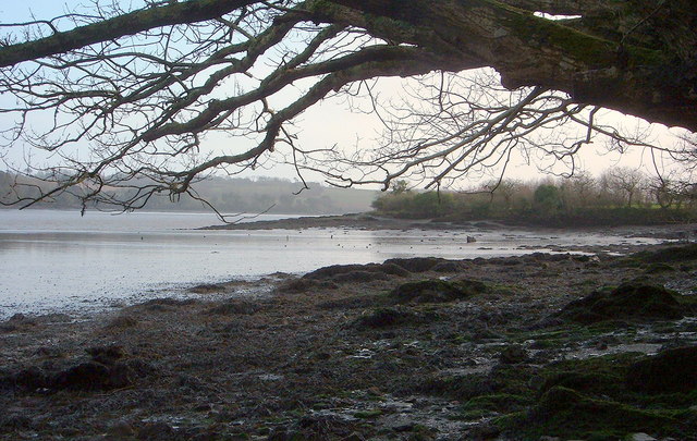 View across towards Shillingham Point