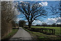 Country lane across Longdon Marsh