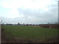 Farmland at Middleton Stoney