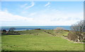 Coastal drumlin behind Tyddyn Crwner