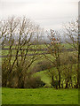 Looking across the field at Ballynacross