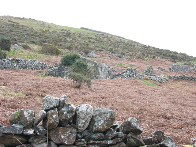 Abandoned croft and intake land on the slopes of Gyrn Goch